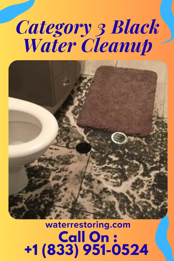 Category 3 Black Water Cleanup in Folcroft, PA