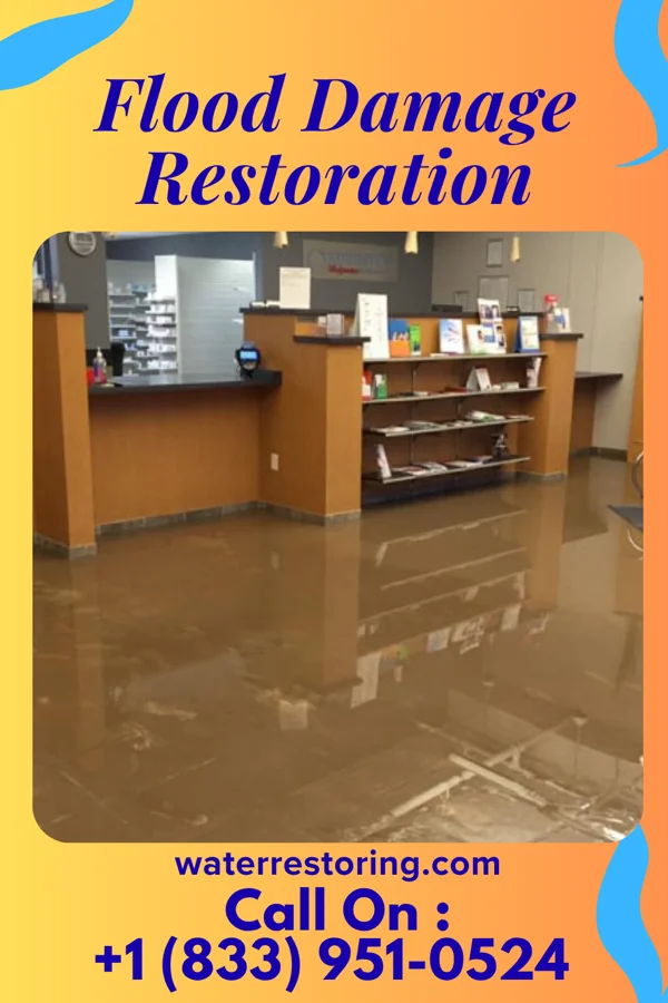 Flood Damage Restoration in Folcroft, PA