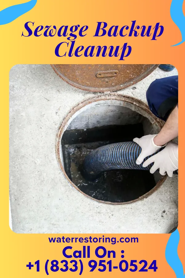 Sewage Backup Cleanup in Folcroft, PA