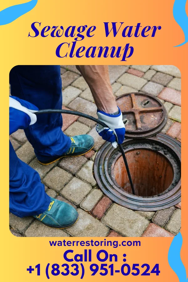 Sewage Water Cleanup in Folcroft, PA