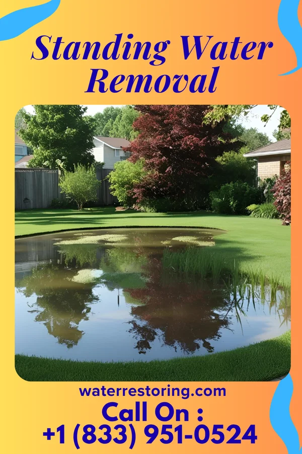 Standing Water Removal in Folcroft, PA
